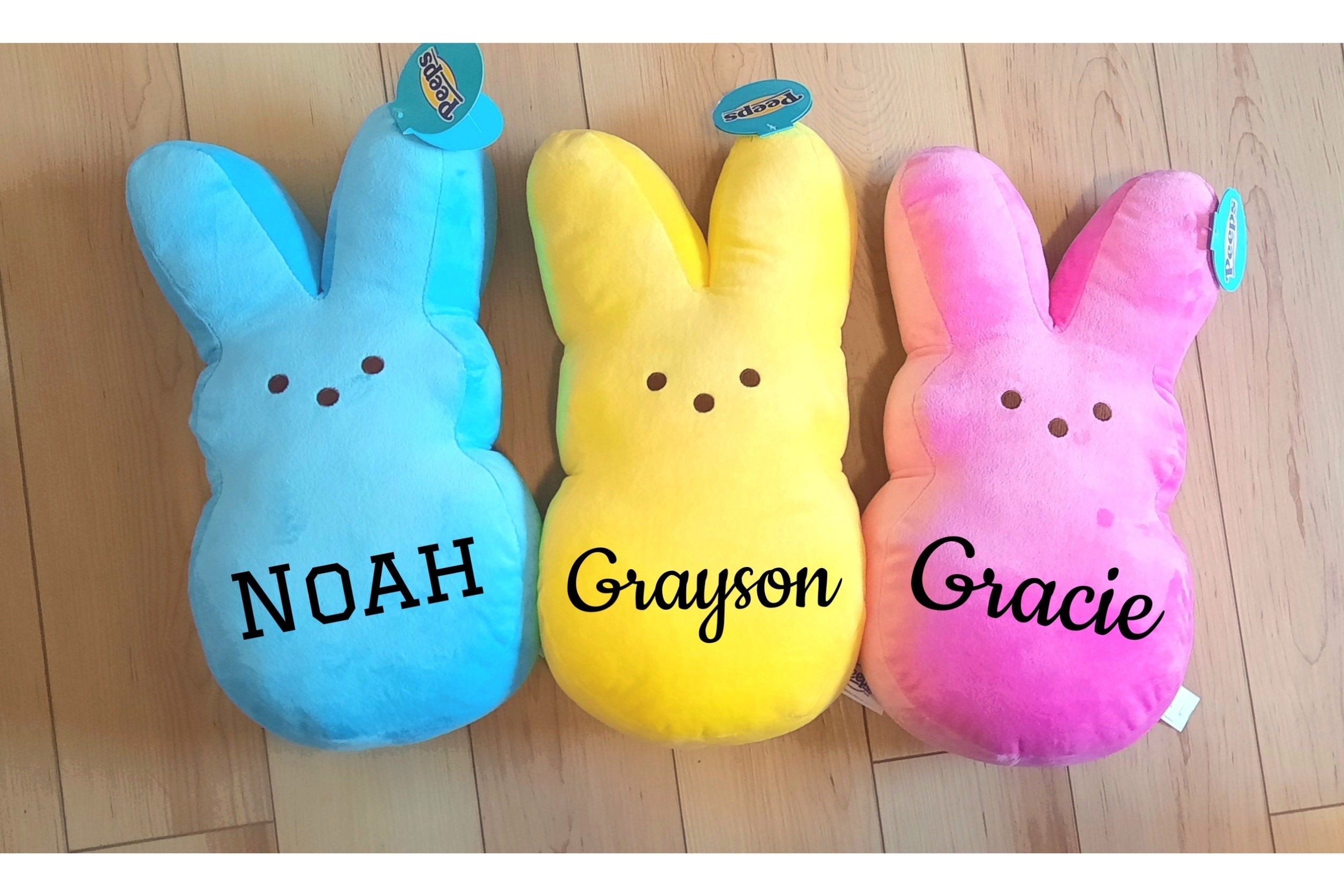 Personalized Minky Bunny Plush