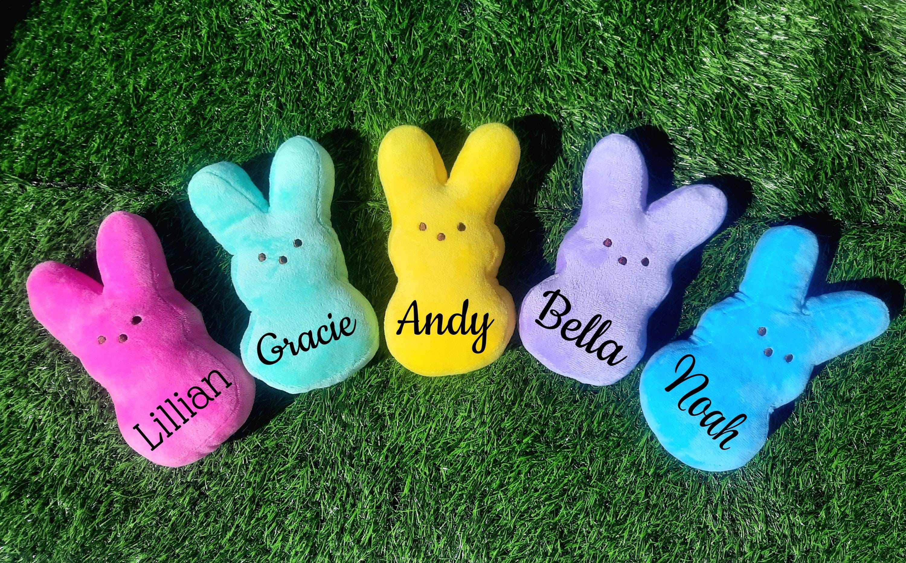 Personalized Minky Bunny Plush